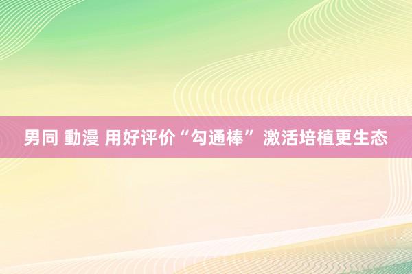 男同 動漫 用好评价“勾通棒” 激活培植更生态
