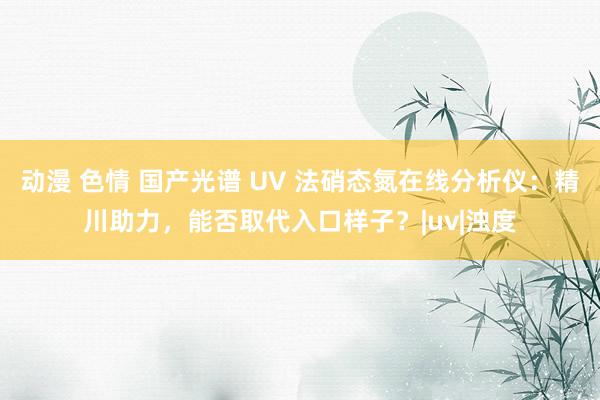 动漫 色情 国产光谱 UV 法硝态氮在线分析仪：精川助力，能否取代入口样子？|uv|浊度