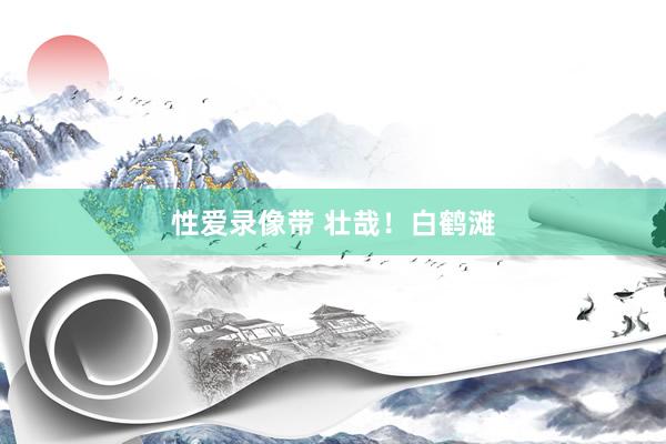 性爱录像带 壮哉！白鹤滩
