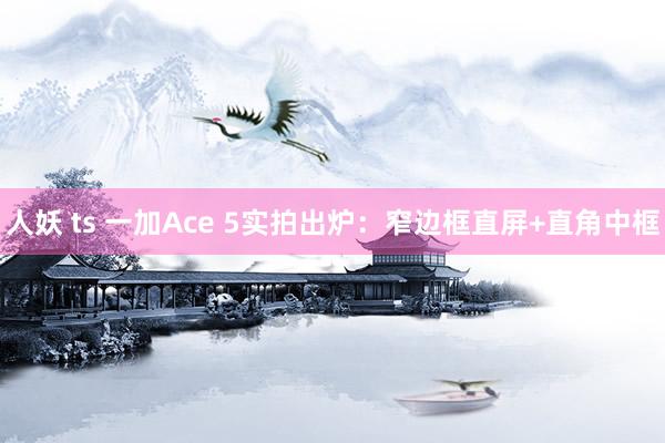 人妖 ts 一加Ace 5实拍出炉：窄边框直屏+直角中框