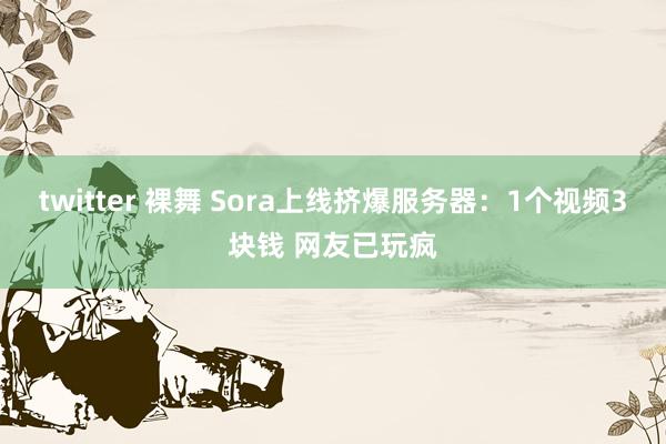 twitter 裸舞 Sora上线挤爆服务器：1个视频3块钱 网友已玩疯