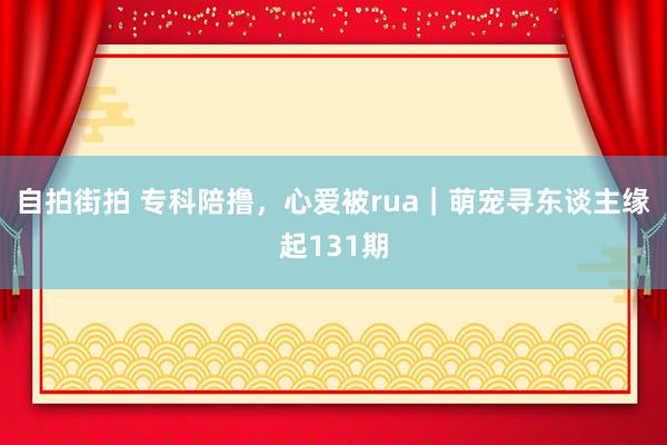 自拍街拍 专科陪撸，心爱被rua｜萌宠寻东谈主缘起131期