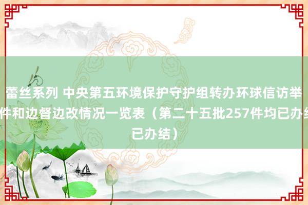 蕾丝系列 中央第五环境保护守护组转办环球信访举报件和边督边改情况一览表（第二十五批257件均已办结）
