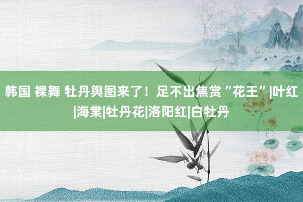 韩国 裸舞 牡丹舆图来了！足不出焦赏“花王”|叶红|海棠|牡丹花|洛阳红|白牡丹
