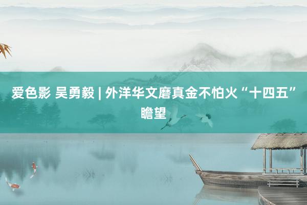 爱色影 吴勇毅 | 外洋华文磨真金不怕火“十四五”瞻望