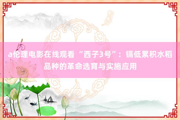 a伦理电影在线观看 “西子3号”：镉低累积水稻品种的革命选育与实施应用
