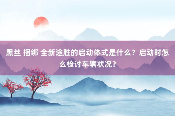 黑丝 捆绑 全新途胜的启动体式是什么？启动时怎么检讨车辆状况？