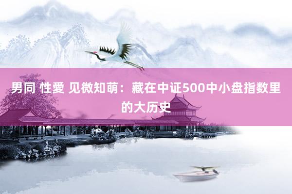 男同 性愛 见微知萌：藏在中证500中小盘指数里的大历史