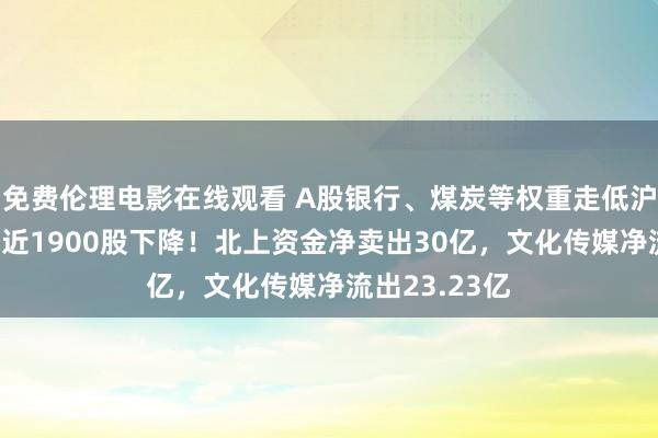 免费伦理电影在线观看 A股银行、煤炭等权重走低沪指跌逾1%，近1900股下降！北上资金净卖出30亿，文化传媒净流出23.23亿