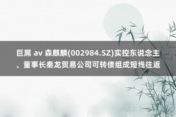 巨屌 av 森麒麟(002984.SZ)实控东说念主、董事长秦龙贸易公司可转债组成短线往返