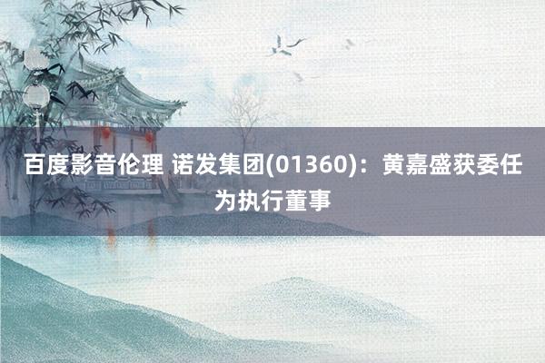百度影音伦理 诺发集团(01360)：黄嘉盛获委任为执行董事