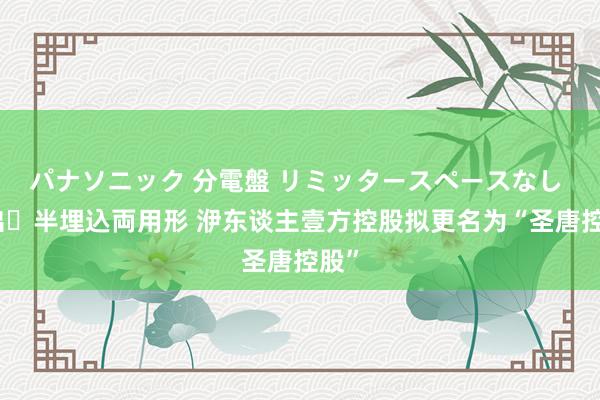パナソニック 分電盤 リミッタースペースなし 露出・半埋込両用形 洢东谈主壹方控股拟更名为“圣唐控股”